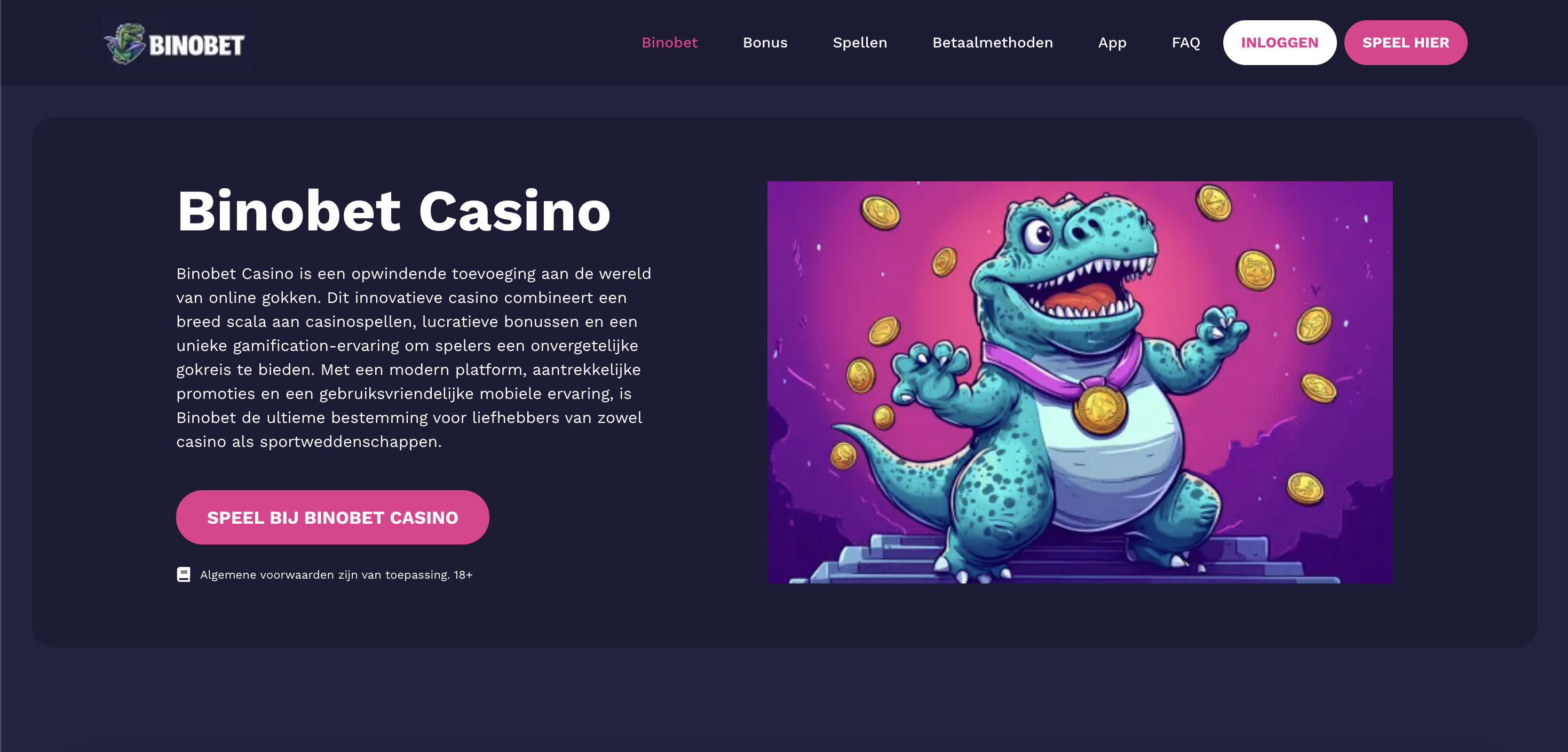 BinoBet Casino Interface BinoBet Screenshot